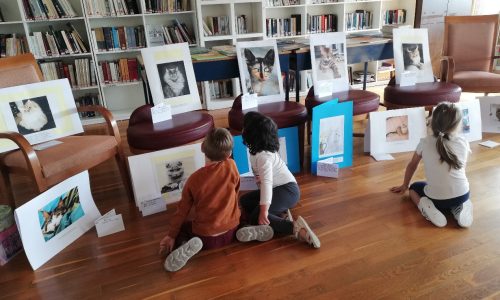 Πρόγραμμα φιλαναγνωσίας: «Ιστορίες … με ουρά» στη Δημοτική Βιβλιοθήκη Σταλού